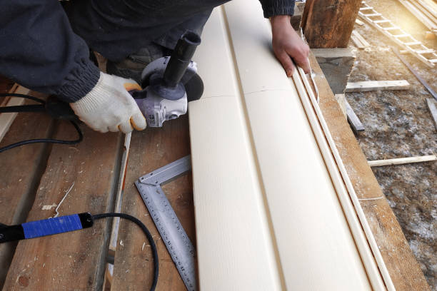 Trusted Enterprise, NV Siding Experts