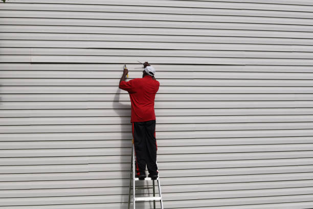 Best Aluminum Siding Installation  in Enterprise, NV